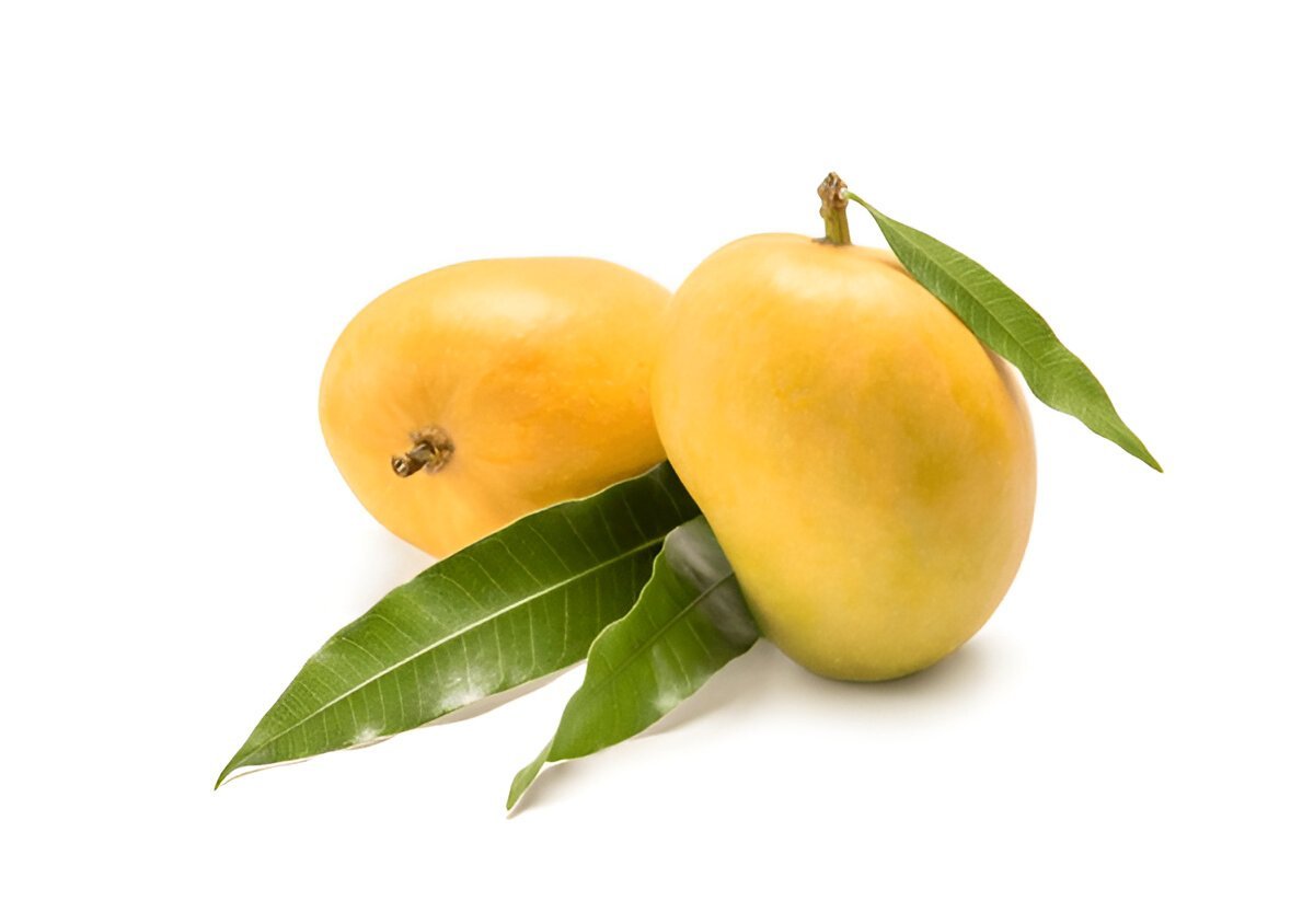 Alphonso Mango