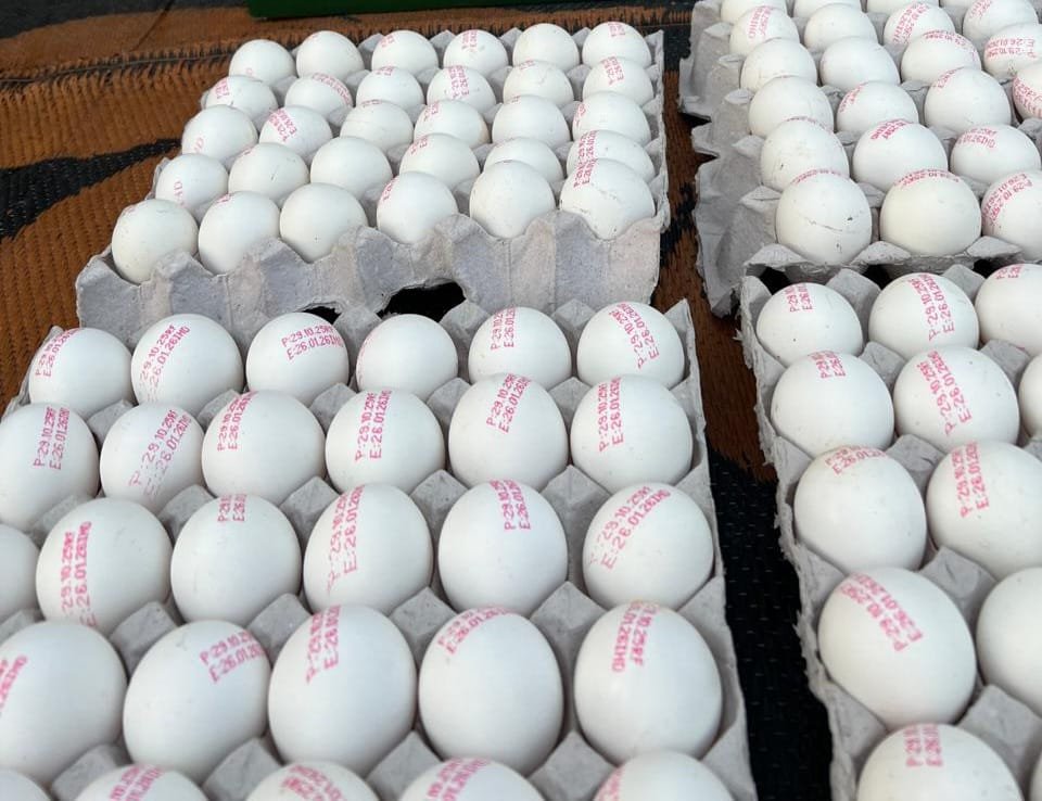 EGGS